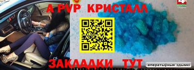 спиды Шелехов